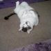 Dawn Thornley - Facebook