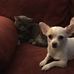 Dawn Thornley - Facebook