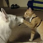 Dawn Thrasher Wood - @dawn.thrasher.988 - Instagram