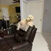 debradawntoner2 - @debradawntoner2 - TikTok