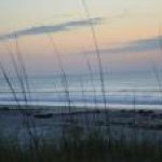 Dawn Townsend - @sunhaven57 - Instagram