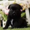 Dawn Urban - @dawn.urban - TikTok