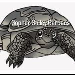 Dawn Vickers Blanchett - @gophergulleygardens - Instagram