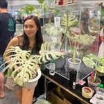Jolissa dawn villa - @dawnya_plantita - Instagram
