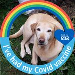 Dawn Vincent - @dawn.vincent.98622 - Instagram