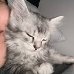 dawn viray - @dawnsprinklesprinkle - Instagram