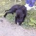 Dawn Vose - Facebook