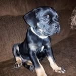 Lea Vowell - @lea.dawn55 - Instagram