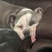 Dawn Wadley - Facebook