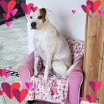 Dawn Waggoner - @dawnwaggoner - Instagram