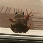 Dawn Wagoner - @dmwags990 - Instagram