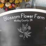 Dawn Wagoner, Blossom Flower Farm, Whitley County, IN - @dawnwago - Instagram