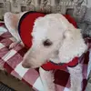 Dawn Wagoner - @dawn.wagoner7 - TikTok