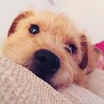 Dawn Waldron - @dawn_waldron - Instagram