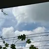 Dawn Waldron - @dawn.waldron - TikTok