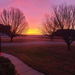 Dawn Waller Hall - @dawnwallerhall - Instagram