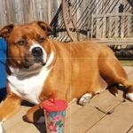 Dawn Walls - @dawnwalls61 - Instagram