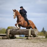 Dawn Walmsley - @walmsleydawn - Instagram
