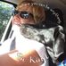 Dawn Roesch Walp - Facebook