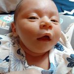 Dawn Wampler - @wamplerdawn - Instagram