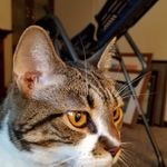 Dawn Warden - @andyson871 - Instagram