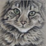 Pet Portraits by Dawn Warnock - @dawnwarnockart - Instagram