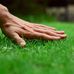 BUDGET LAWN TREATMENTS WARRINGTON  - Facebook