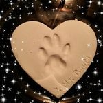 Dawn Waterman - @dawnwaterman2024 - Instagram