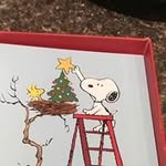 Dawn Way - @do_it_dawns_way - Instagram