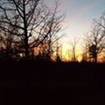 Dawna Weiler - @dawnaweiler - Instagram