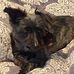 Dawn Wenger Ritchie - Facebook