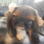 Dawn Wetzel - @dwetzel1939 - Instagram
