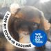 Dawn Wetzel - Facebook