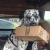 Dawn Wheatcroft - Facebook