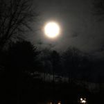 Dawn Wheaton - @dawnwheaton71 - Instagram