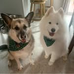 Dawn Wheaton Pardy - @dawnwheaton2011 - Instagram