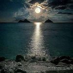 Dawn Whitaker - @spidawn - Instagram