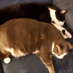 Dawn Whitfield - @dawn.whitfield2 - Instagram