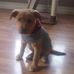 Dawn Whitt - Facebook