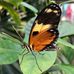 Dawn Wick - Facebook