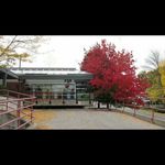Dawn Wiggins - @lakeridgeseniorsresidence - Instagram