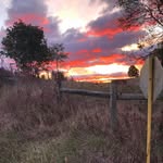 Dawn Wilcox - @dawnwilcox3 - Instagram