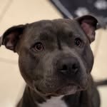Dawn Wilcox - @dawnwilcox439 - Instagram