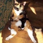 Dawn Wilder - @wilded73 - Instagram