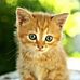 Dawn Wilder - Facebook