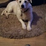 Dawn Wilkinson - @dawn.wilkinson.336 - Instagram