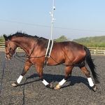 Dawn Wilkinson - @mim6120 - Instagram