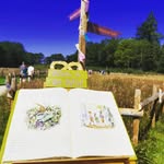 Dawn Wilkinson - @dawns_family_days_out - Instagram