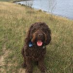 Dawn Wilkinson - @dawnwilkinson608 - Instagram