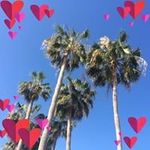 Dawn Winters - @dawniewinters - Instagram